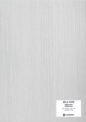 Schiebesystem Tür BinAir (9)